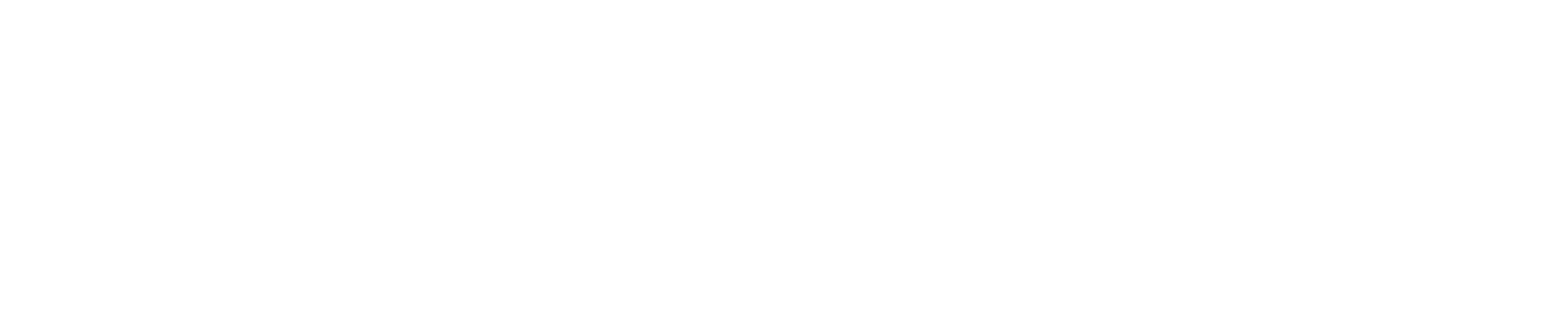 logo-light